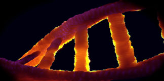 Epigenetik och DNA. Bild: Colin Behrens. Licens: CC0, Pixabay.com