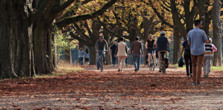 Låt en promenad ge dig en skön söndag. Foto: Silvia & Frank, Pixabay-licens.
