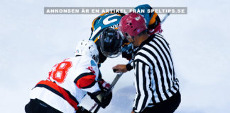 Bild: Hockey. Foto: Yifei Chen. Licens: Unsplash.com